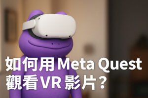 Quest 看片